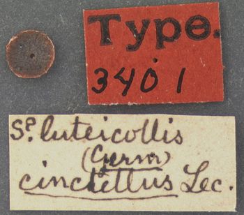 Media type: image;   Entomology 3401 Aspect: labels